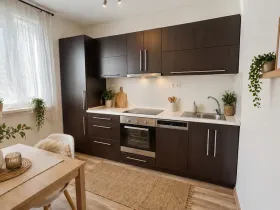 Pronájem bytu 1+1, Ostrava - Mariánské Hory, Korunní, 37 m2