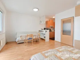 Pronájem bytu 1+kk, Brno, Francouzská, 30 m2