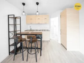 Pronájem bytu 1+kk, Frýdek-Místek, Topolová, 24 m2