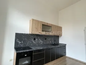 Pronájem bytu 1+1, České Budějovice - České Budějovice 6, Žižkova tř., 49 m2