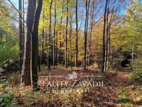 Prodej lesa, Prostřední Bečva, 25462 m2