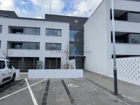 Pronájem bytu 1+kk, Ostrava - Slezská Ostrava, U Hájenky, 38 m2