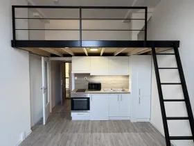 Prodej bytu 1+kk, Ostrava - Přívoz, Palackého, 26 m2