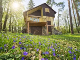 Prodej chaty, Oslnovice, 70 m2