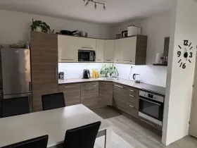 Pronájem bytu 2+kk, Brno, Svážná, 48 m2