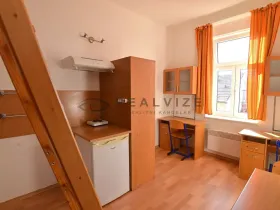 Pronájem bytu 1+kk, České Budějovice, Šumavská, 21 m2