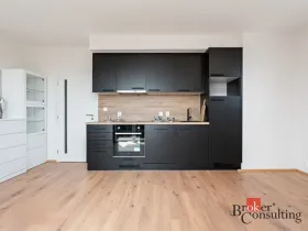 Pronájem bytu 1+kk, Heřmanova Huť - Vlkýš, U Pondu, 35 m2