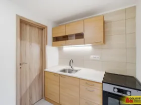 Pronájem bytu 1+1, Boskovice, 22 m2