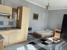 Pronájem pokoje, Praha - Vinohrady, Italská, 22 m2