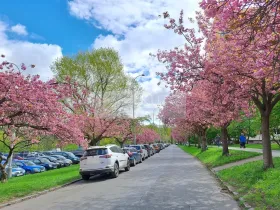 Pronájem bytu 1+kk, Praha - Braník, Nad lesním divadlem, 24 m2