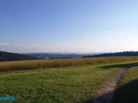 Prodej louky, Výprachtice, 867 m2