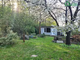 Pronájem zahrady, Brno, 400 m2