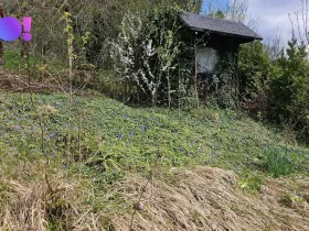 Prodej zahrady, Vsetín, 376 m2