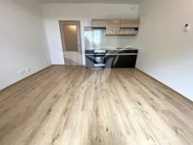 Pronájem bytu 1+kk, Plzeň, Stehlíkova, 30 m2