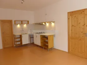 Prodej bytu 2+kk, Plzeň - Východní Předměstí, Guldenerova, 55 m2