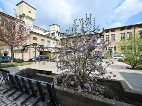 Pronájem ordinace, Hradec Králové, Pospíšilova, 55 m2