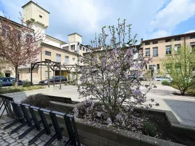 Pronájem ordinace, Hradec Králové, Pospíšilova, 55 m2