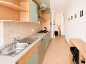 Prodej bytu 3+1, Plzeň - Lobzy, Dlouhá, 76 m2