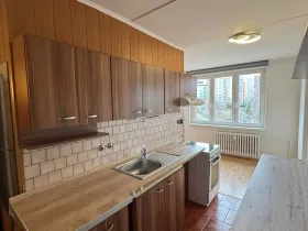 Pronájem bytu 2+1, Chomutov, Borová, 50 m2