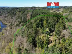 Prodej lesa, Řepeč, 39640 m2