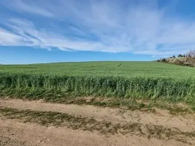 Prodej pole, Rokytnice nad Rokytnou, 25097 m2