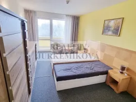 Pronájem bytu 1+kk, Frymburk, 30 m2