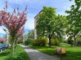 Prodej bytu 2+1, Praha - Záběhlice, Jasmínová, 56 m2