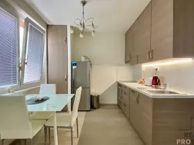 Pronájem bytu 1+1, Brno, Ondrouškova, 33 m2