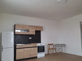 Pronájem bytu 1+kk, Chotěšov, Ořechová, 38 m2