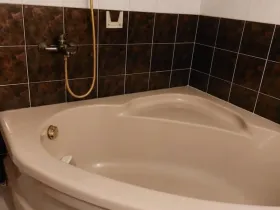 Pronájem bytu 1+1, Prostějov - Žešov, 40 m2