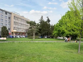 Pronájem bytu 1+kk, Praha - Vršovice, Kubánské náměstí, 19 m2