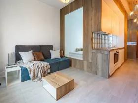 Prodej bytu 1+kk, Brno, Příkop, 31 m2