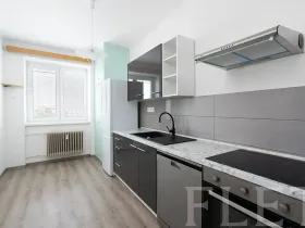 Pronájem bytu 2+1, Praha - Žižkov, Loudova, 61 m2