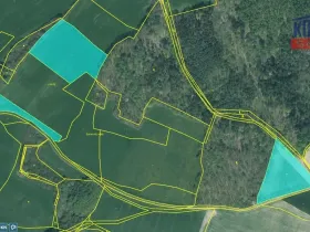 Prodej pole, Příkosice, 41005 m2