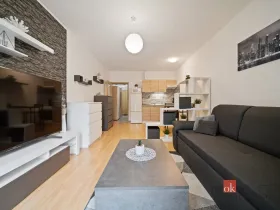 Pronájem bytu 1+kk, Hradec Králové - Nový Hradec Králové, Kejzlarova, 31 m2