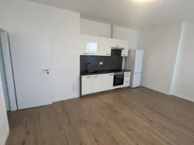 Pronájem apartmánu, Most, Františka Halase, 68 m2