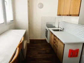 Pronájem bytu 1+1, Brno - Lesná, Brožíkova, 38 m2