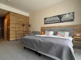 Prodej apartmánu, Dolní Morava, 28 m2