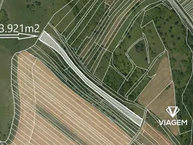Prodej zahrady, Nenkovice, 3921 m2