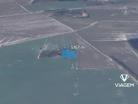 Prodej podílu lesa, Vendolí, 2583 m2