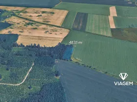 Prodej podílu lesa, Sviny, 1377 m2