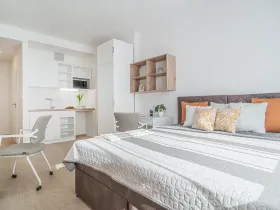 Pronájem bytu 1+kk, Praha - Vysočany, Lisabonská, 20 m2