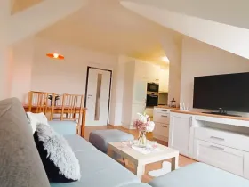 Pronájem bytu 3+kk, České Budějovice - České Budějovice 3, Riegrova, 70 m2