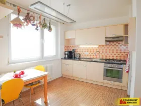 Prodej bytu 1+1, Brno, Božetěchova, 40 m2