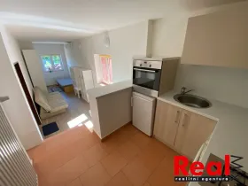 Pronájem bytu 1+kk, Brno, Havránkova, 30 m2