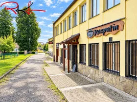 Prodej ubytování, Chlum u Třeboně, Třeboňská, 1058 m2