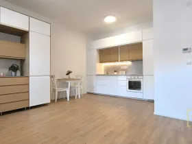 Pronájem bytu 2+kk, Brno - Brno-město, Jezuitská, 41 m2