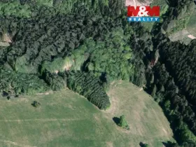 Prodej lesa, Valašská Senice, 8743 m2