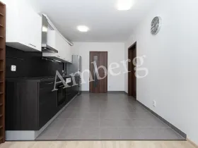 Prodej bytu 2+kk, Praha - Žižkov, Na Vackově, 53 m2
