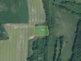 Prodej louky, Nedachlebice, 16411 m2
